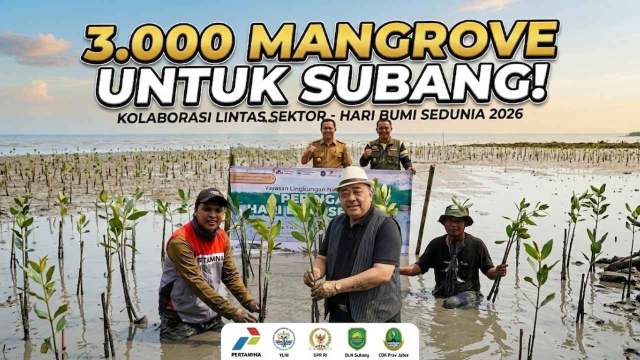 YLNI Gandeng Pertamina EP dan Lintas Sektor Tanam 3.000 Bibit Mangrove di Pesisir Subang.